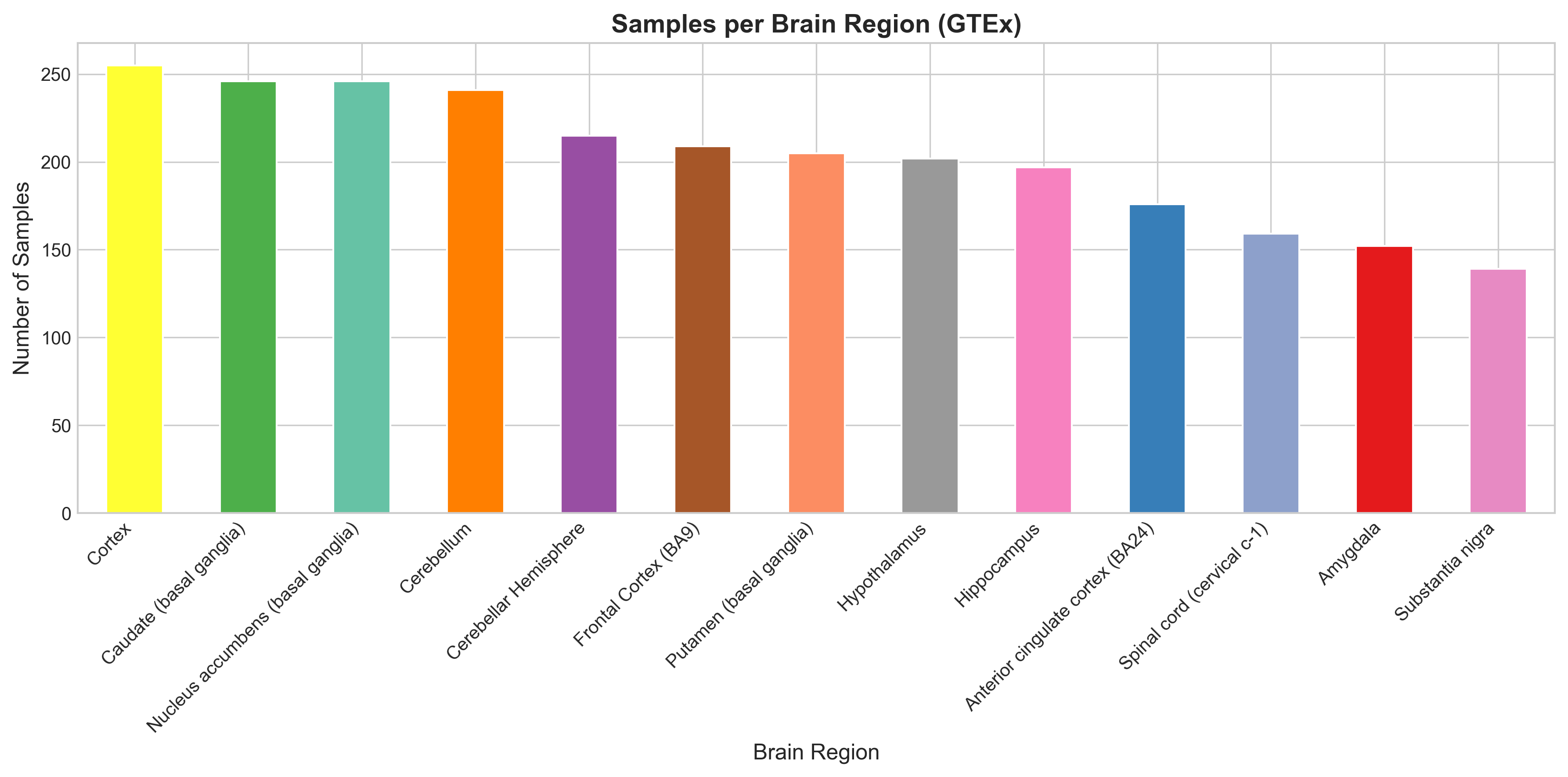 Sample distribution across brain regions