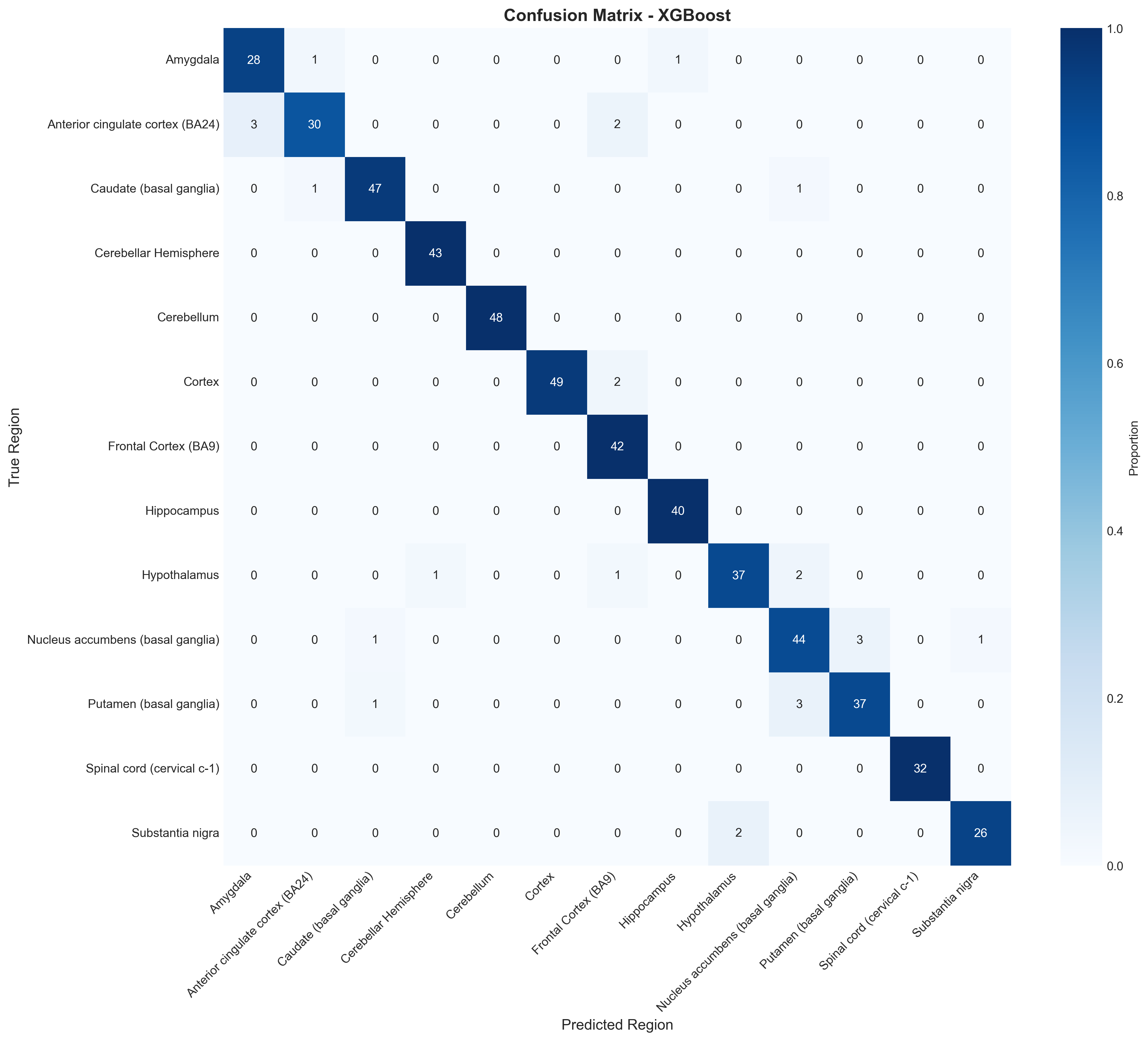 Confusion matrix