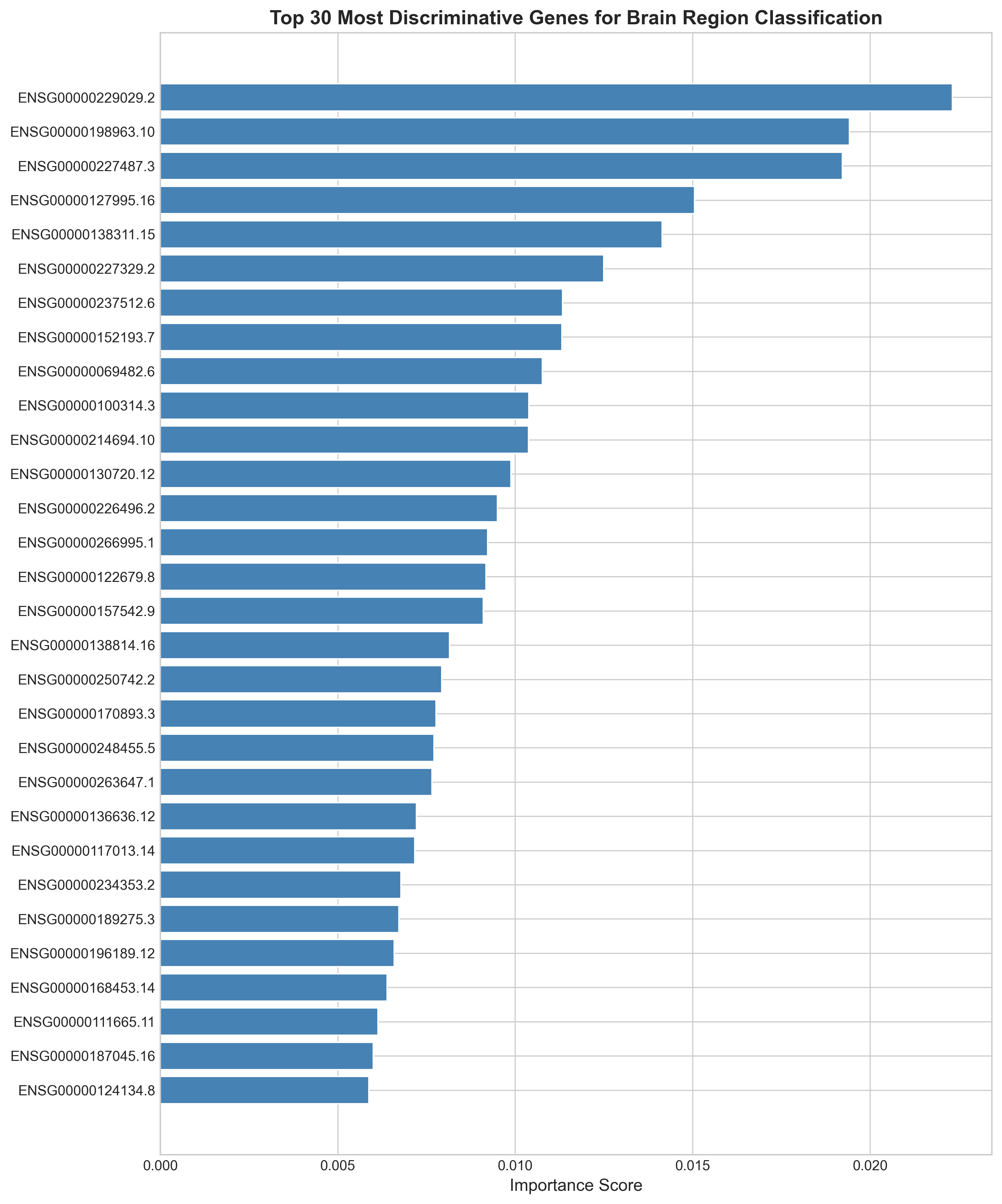 Feature importance: top 30 genes