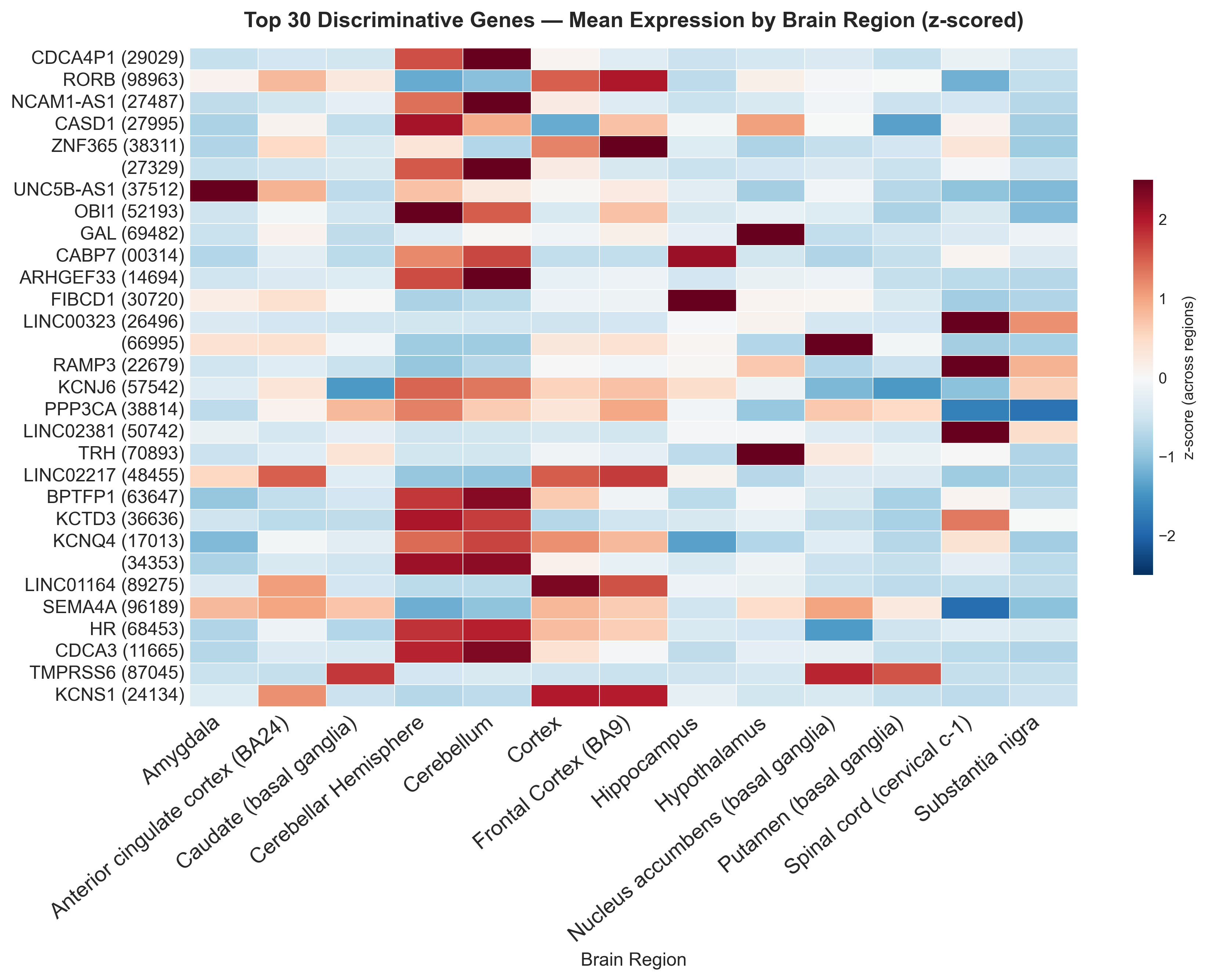 Top 30 genes heatmap
